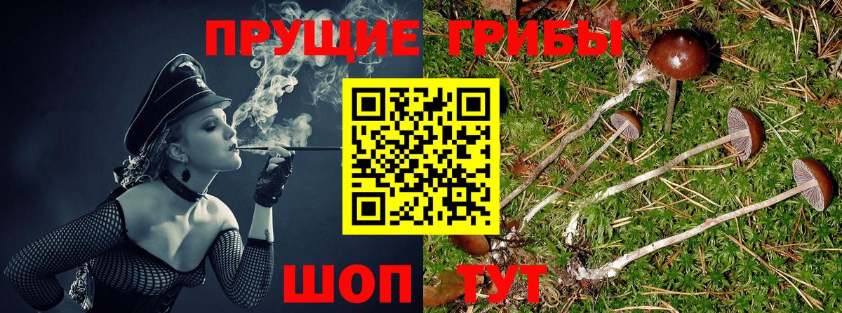 Псилоцибиновые грибы Cubensis  Псилоцибиновые грибы мицелий  Якутск  Вход с VPN 